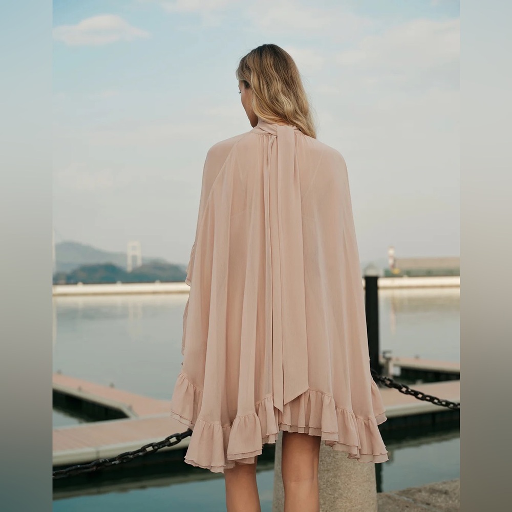 138 Semi-Sheer Chiffon Ruffle Dress With Outer Cape - Picture 4 of 5